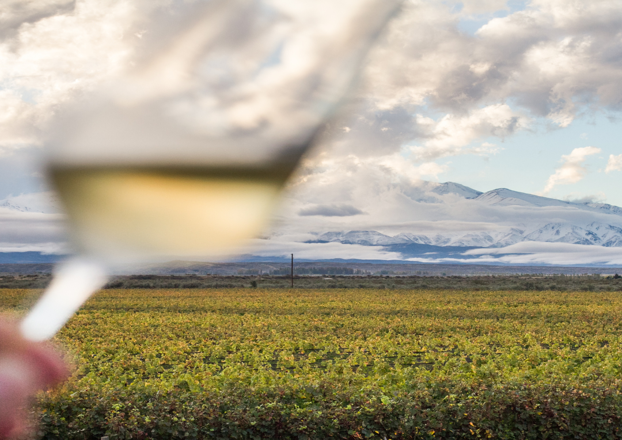Vino_y_montañas_622x440